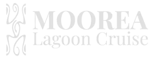 Logo du site web